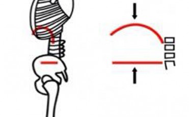 proper diaphragm position